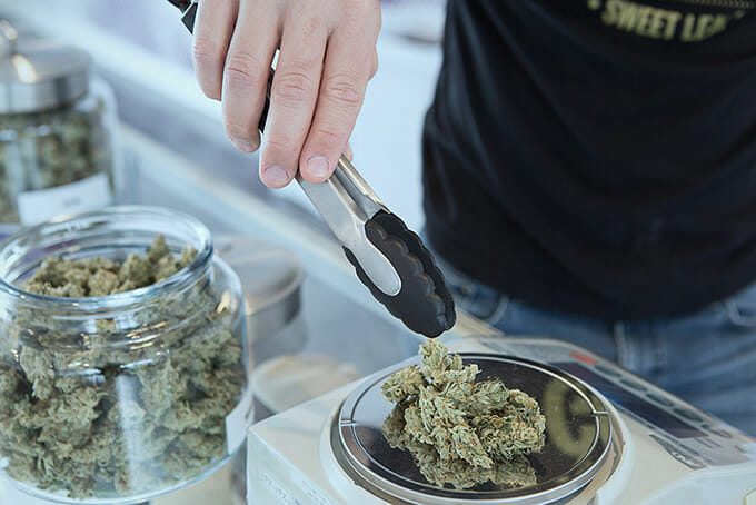 cannabis flower being weighed at a dispensary
