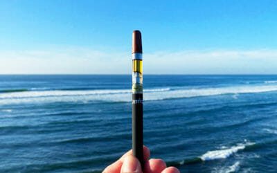 Happy 710 Day: Top 10 Cannabis Oil Products