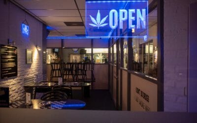 Best States to Start or Expand Your Cannabis Business