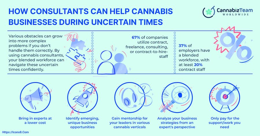 cannabis consultants for your business