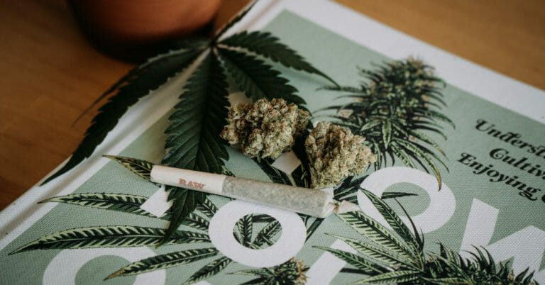 joint and nugs of a cannabis user