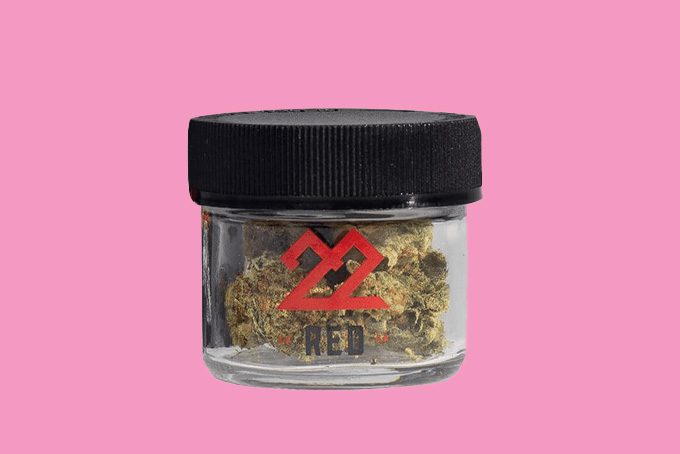 22Red High School Sweetheart Flower cannabis gift for Valentine's Day